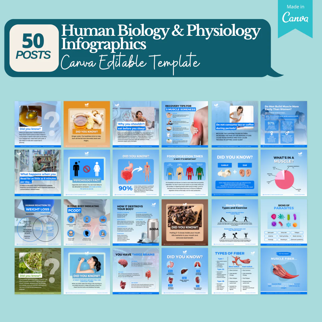200+ Fitness, Nutrition & Health Bundle - Social Media Templates - Image 2