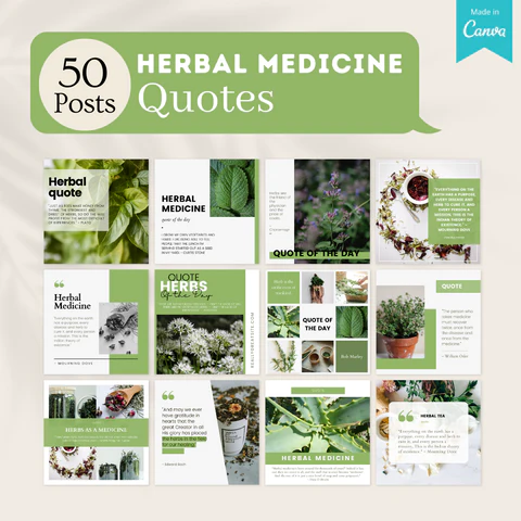 250 Herbal Medicine Posts - Social Media Templates - Image 7