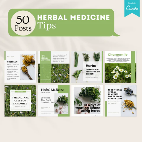 250 Herbal Medicine Posts - Social Media Templates - Image 4