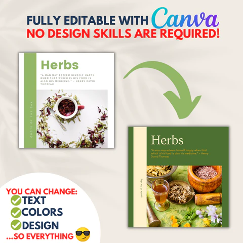250 Herbal Medicine Posts - Social Media Templates - Image 9