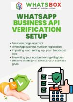 WhatsApp Business API & Facebook Portfolio Setup