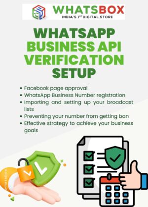 WhatsApp Business API & Facebook Portfolio Setup